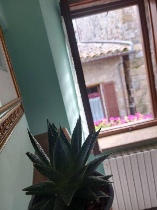 Casa Rosita Vista Lago Bolsena Dış mekan fotoğraf